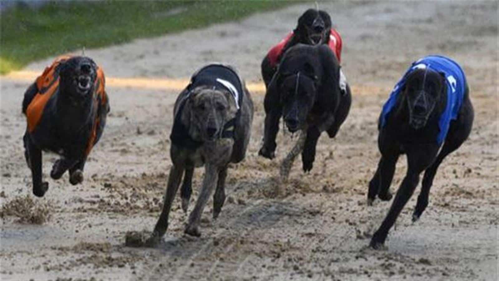 Supporters Club: Upcoming Events image