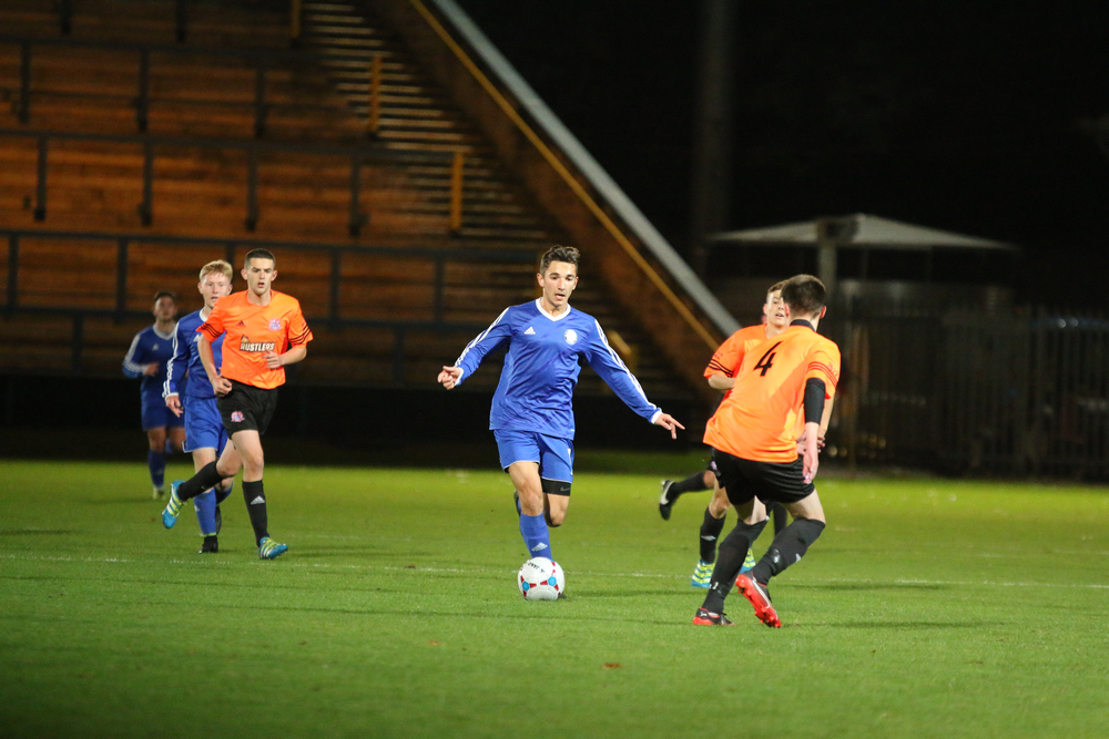 Basic Leaves Shaymen image