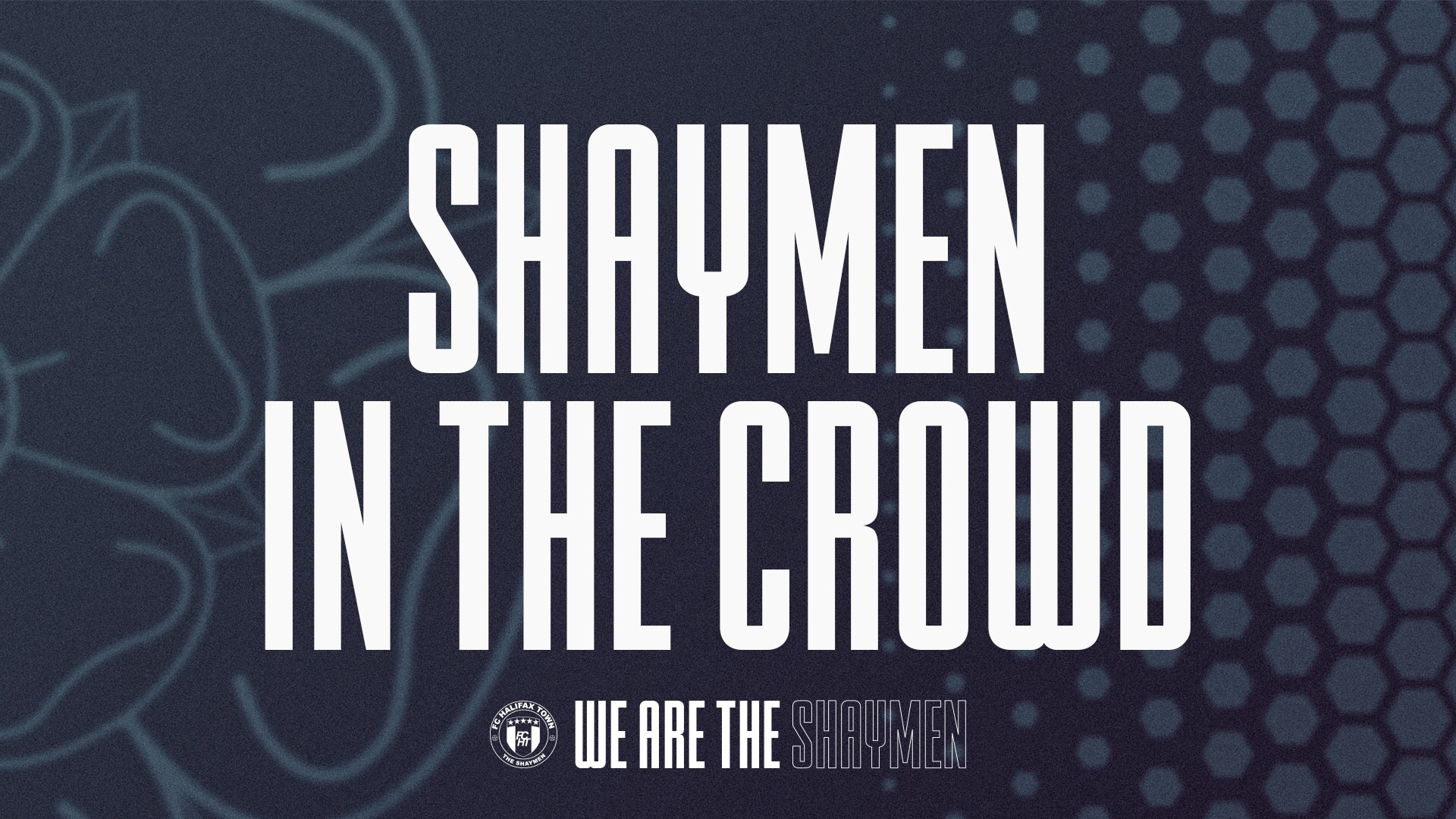 Play-Offs: Face In The Crowd image