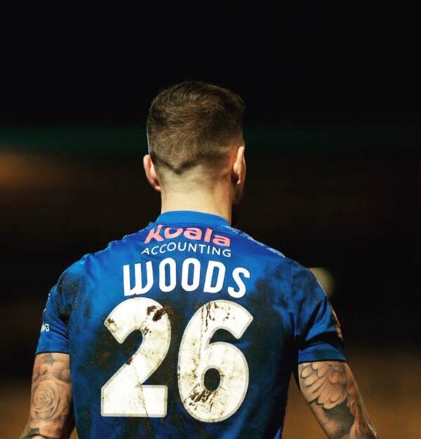Martin Woods Leaves The Shaymen image