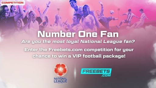 VNL Number One Fan image